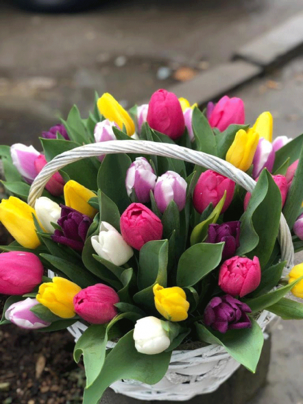 41 тюльпан микс в корзине в Гурзуфе
