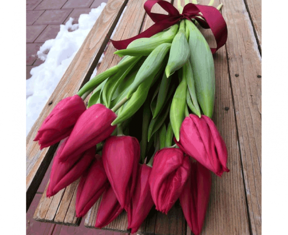 11 красных тюльпанов, лента в Гурзуфе