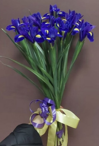 Букет 11 ирисов  в Гурзуфе