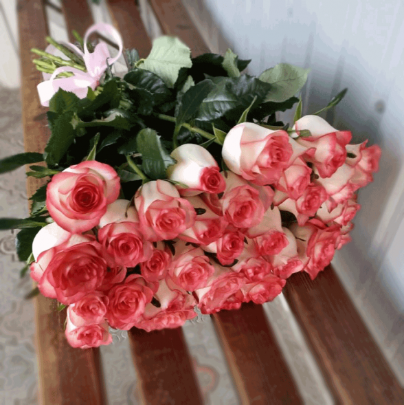 31 розовая роза в Гурзуфе