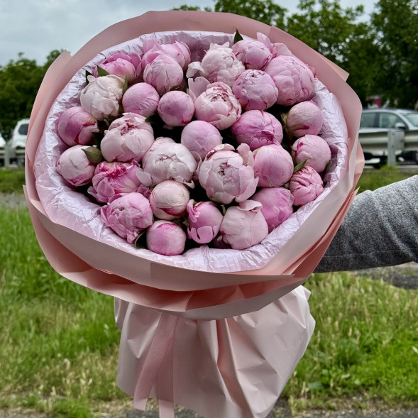 29 пионов &quot;Сара-Бернар&quot; в нежно-розовой упаковке в Гурзуфе