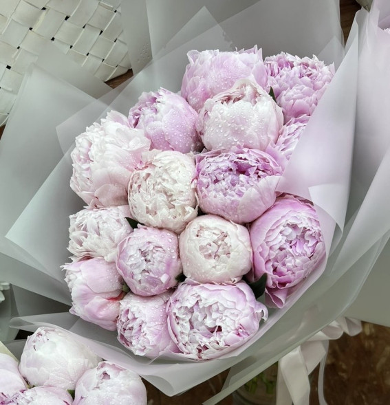 15 пионов Сара Бернар в Гурзуфе